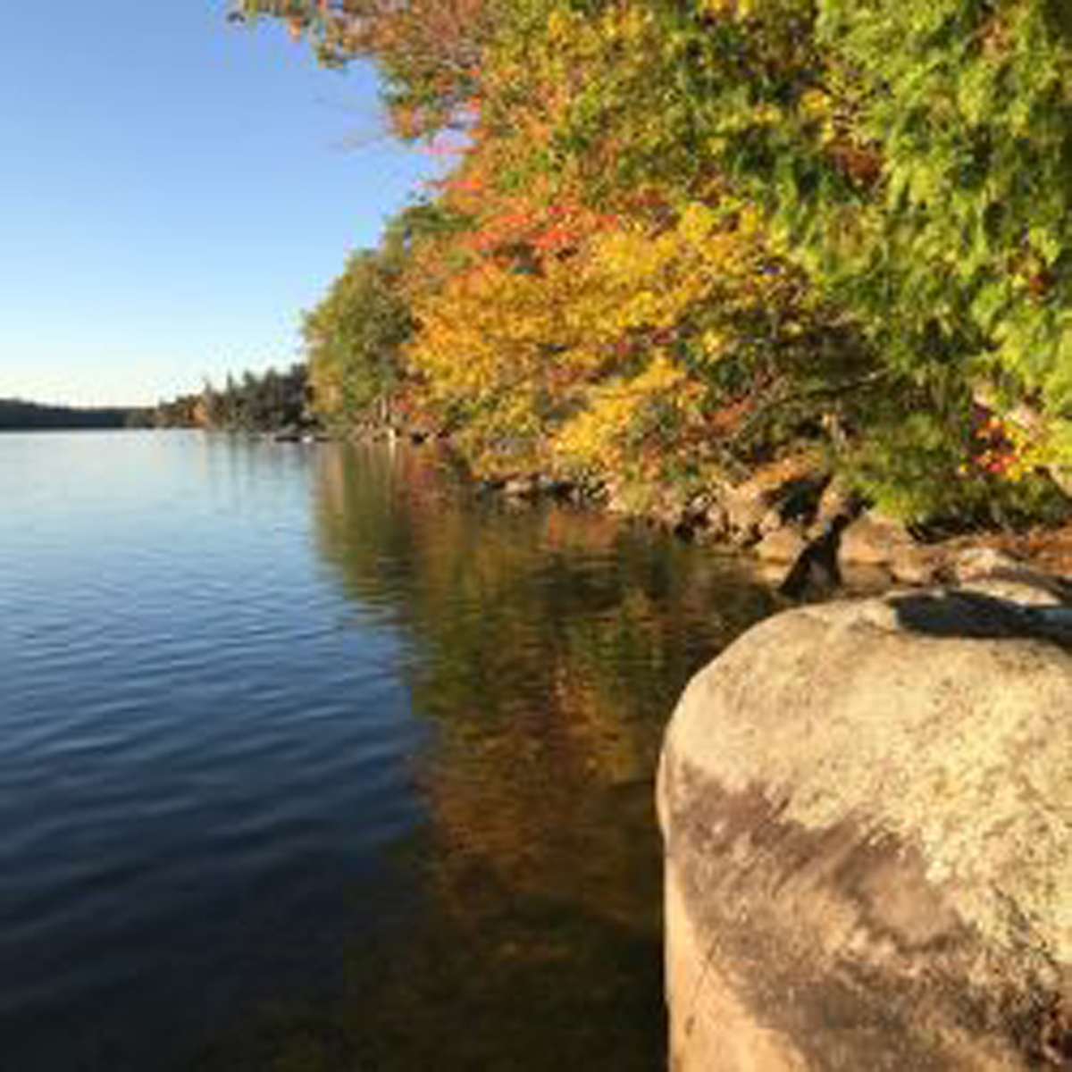 Sunny shot down the treeline with fall colors, water to the left